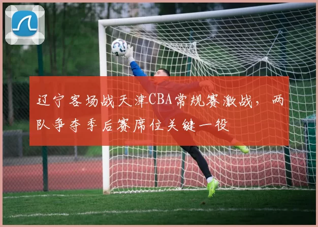 辽宁客场战天津CBA常规赛激战，两队争夺季后赛席位关键一役