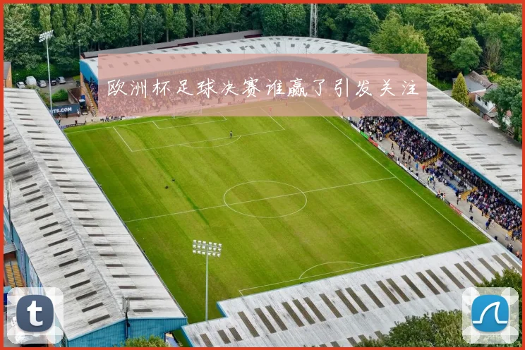 欧洲杯足球决赛谁赢了引发关注