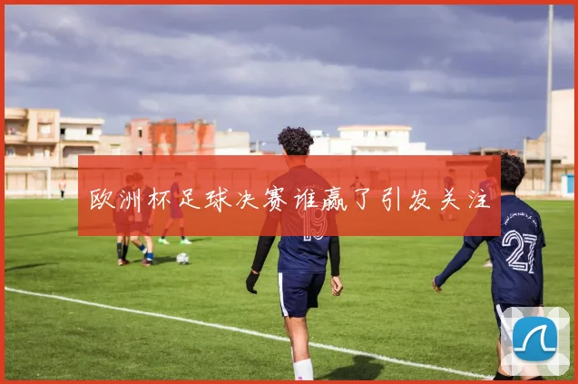 欧洲杯足球决赛谁赢了引发关注