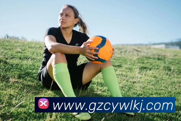 开云·kaiyun体育(中国大陆)官方网站 登录入口发展历程