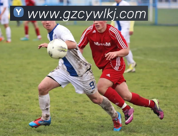 开云「中国」Kaiyun·官方网站 - 国内一流技术服务商APP 高清赛事图